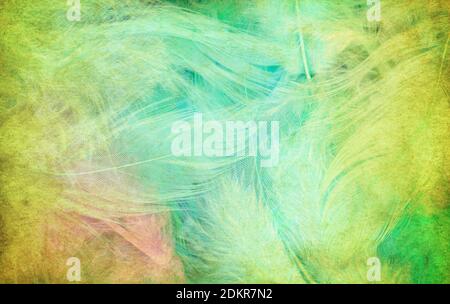 Green feathers background - High resolution Stock Photo