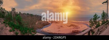 Panorama view of white sand beach and sunset over Baltic sea surrounded by conifer trees forest in Latvia. The White Dune and Baltic see at Saulkrasti Stock Photo