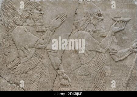 Relief panel from Northwest Palace of Ashurnasirpal II (reign 883-859 BCE) at Kalhu (modern Nimrud, Iraq). Relief of Assyrian king Ashurnasirpal II with protective spirit. 9th century BC. Detail. Neues Museum (New Museum). Berlin. Germany. Stock Photo