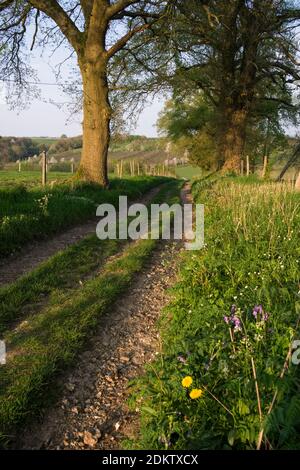 Path in spring in the Valley of Crevon, in Grainville-sur-Ry (northern France) Stock Photo