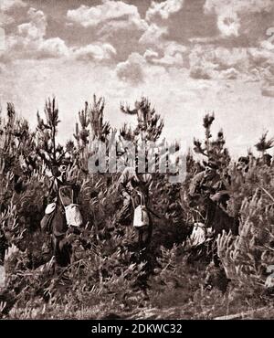 Red Cavalry of Red Army. 1930s. From soviet propaganda book Stock Photo