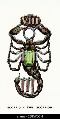 Antique cigarettes cards. Wills's Cigarettes (series of Lucky Charms).  Scorpio - The Scorpion. 1923 Stock Photo