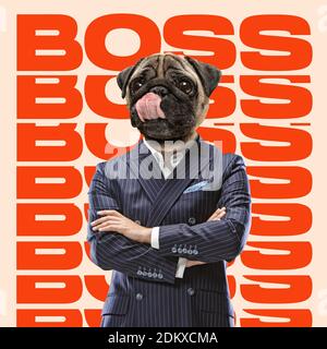 Boss headed by dog head standing with hands crossed. Copyspace to insert your text. Modern design. Contemporary art. Creative conceptual and colorful collage. Office worker lifestyle concept. Stock Photo