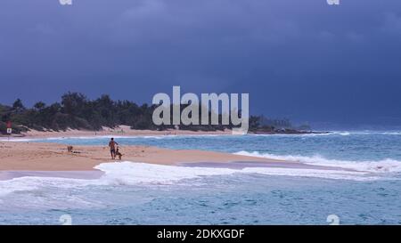 Man with dog taking a walk on the beach on Maui, Hawaii Stock Photo