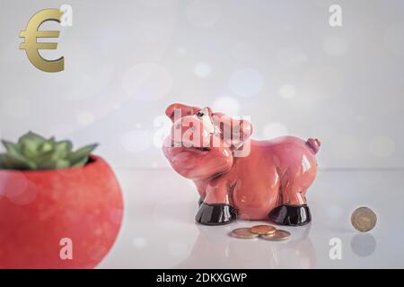 Piggy bank-pig and euro coins on a white background with a flower succulent in a red pot. Money storage and investment concept. Selective focus Stock Photo