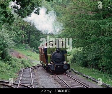 Heritage Talyllyn Railway. Steam locomotive approaching Abergynolwyn Station. Mid Wales. Great Britain Stock Photo