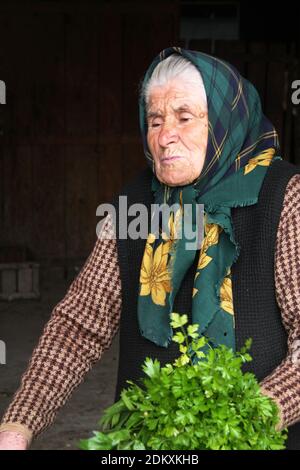 Vrancea County, Romania. Elderly woman with a bunch of fresh parsley. Stock Photo