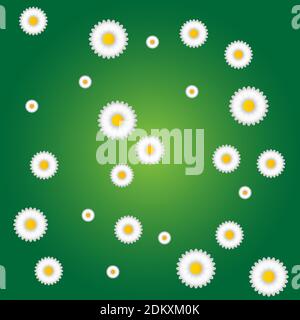 White chamomile flowers on a green background. White chamomile flower. Background image. White wildflowers. Greeting card. Festive background. Poster. Stock Vector