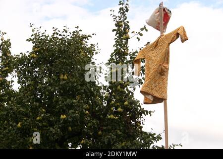 Simple scarecrow in Romania's countryside Stock Photo