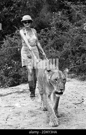 Joy Adamson author of Born Free with Elsa the lioness on a rock outcrop ...