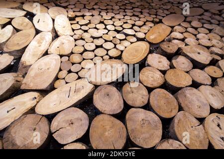 Wall decoration from pieces of wood Stock Photo