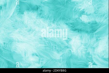 Blue feathers background - High resolution Stock Photo