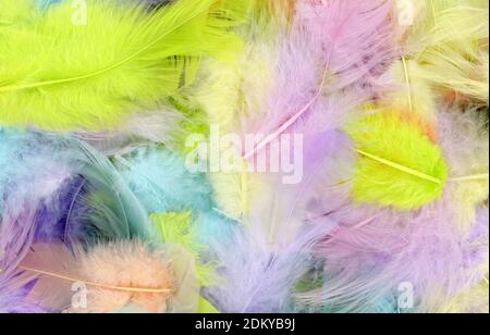 Colorfully feathers background - High resolution Stock Photo