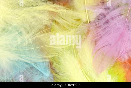 Colorfully feathers background - High resolution Stock Photo