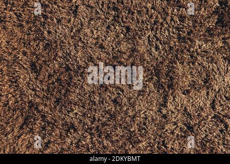 Brown abstract texture with glitter. Carpet texture. Top view. Stock Photo