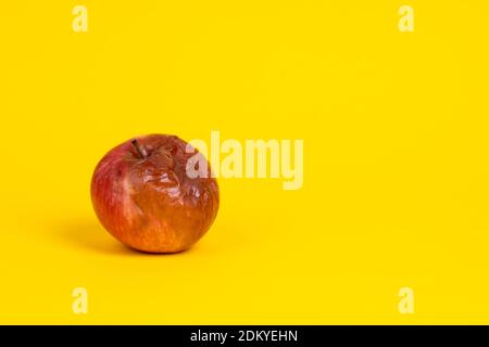 Rotten apple with a worm on a uniform yellow background. Stock Photo