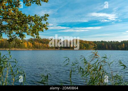 Grosser Lankesee Lake in Liebenberg, Loewenberger Land, Germany with colourful foliage on a bright autumn day Stock Photo