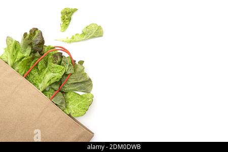 Paper pack bag with green salad leaves, lettuce on white background, layout with space for text Stock Photo