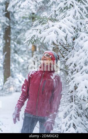 pretty ageless senior woman in winter forest, standing under falling snow. Carefree woman enjoying snow and winter time. She playing with snow. Winter Stock Photo