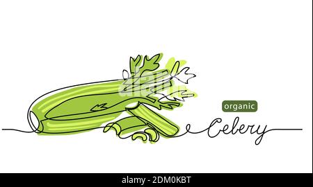 Celery sticks, stalks, green leaf vector sketch illustration for background, label design. One line drawing art illustration with lettering organic Stock Vector