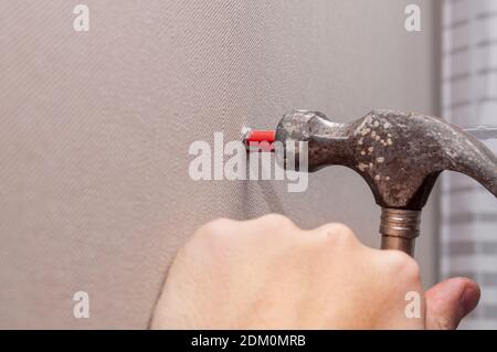 hammers a plastic dowel into a hole in the gray wall Stock Photo