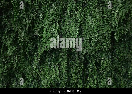 Synthetic plastic green grass Stock Photo