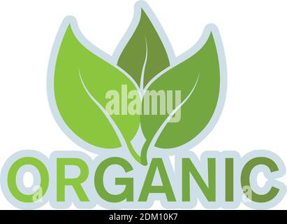 green organic product or food logo with leaves isolated on white vector illustration Stock Vector