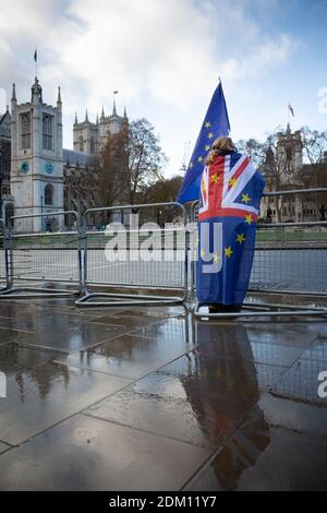 14. December 2020, England, London: A woman takes part in an anti-Brexit protest in Parliament Square. Stock Photo