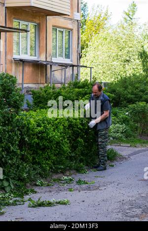 man cutting green hedge Stock Photo