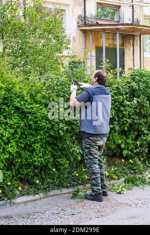 man cutting green hedge Stock Photo
