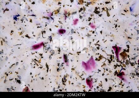 white handmade paper with petals and herbs Stock Photo