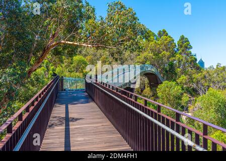 Walkway Glass Bridge Western Australia Botanic Garden Hi Res Stock Photography And Images Alamy