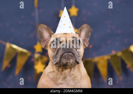 Cute French Bulldog dog wearing party celebration hat in front of blue background with golden garlands Stock Photo