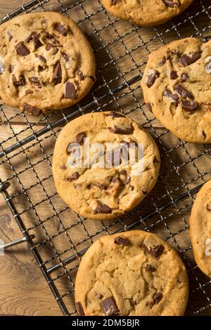 Warm Homemade Chocolate Chip Cookies on a Cooling Rack Stock Photo