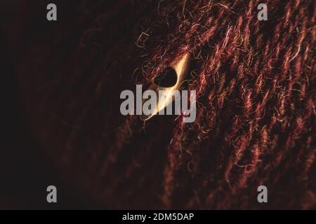 Flat lay composition of punch needle tools on a concrete surface in warm tones. Different sizes of needles, embroidery hoops, scissor and colorful thr Stock Photo