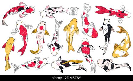 Oriental koi fish. Koi carps, asian ornamental fish, traditional oriental fishery. Chinese floating koi fish vector illustration Stock Vector
