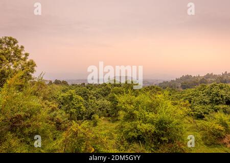 Virunga Volcanoes and Mgahinga Gorilla National Park from Kisoro in colorful early morning with mist in the valley. Kisoro District, Uganda, Africa. Stock Photo