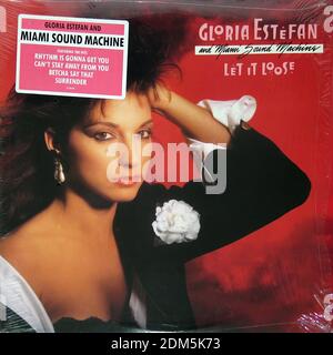 Gloria Estefan and Miami Sound Machine Let It Loose - Vintage