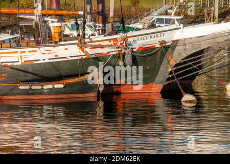 Tall Sailing ship, Grace Bailey on a fall evening in the harbor, Camden, Maine, USA Stock Photo