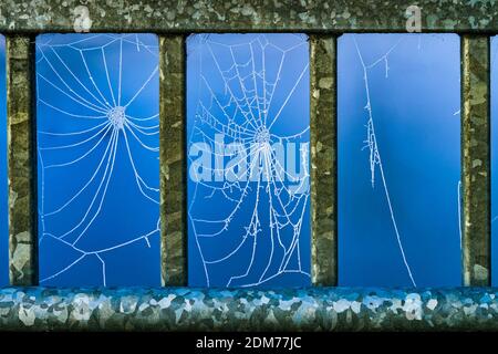 Frozen spider web on bridge Stock Photo