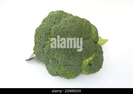Broccoli isolated on white background. Raw broccoli vegetable close up Stock Photo