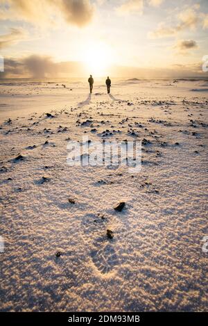 Two people walking at sunrise on black sand beach in Iceland in winter Stock Photo