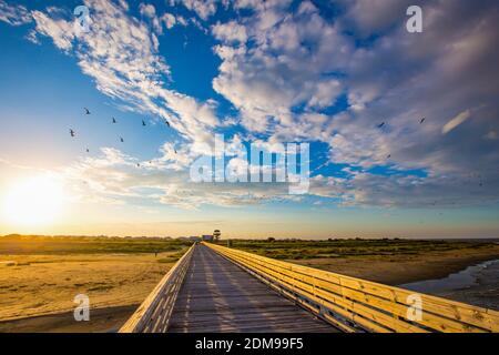 Grand Isle, Louisiana beauty images. Stock Photo