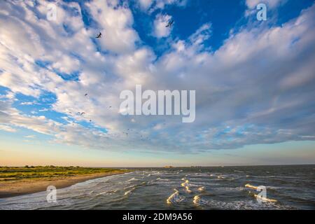 Grand Isle, Louisiana beauty images. Stock Photo