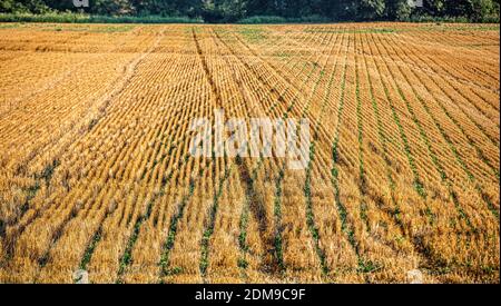 Kansas Stock Photo