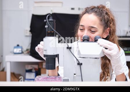 Young female scientist looking through a microscope in a laboratory. Laboratory research concept. Stock Photo