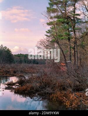 A small wood bird watchers blind on the edge at wetland is washed in golden-hour sunlight. The structure is surrounded by water on three sides. I the Stock Photo