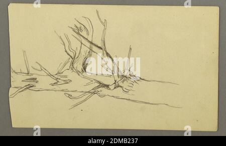 Middle Section of a Dead Tree Trunk, Frederic Edwin Church, American, 1826–1900, Graphite on paper, Vertical view of the middle part of a dead tree trunk, USA, 1877, nature studies, Drawing Stock Photo
