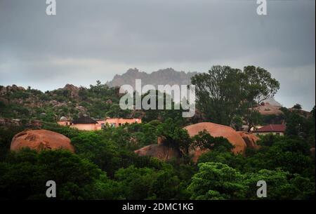 Subsistence farmers in South Africa's rural areas like Limpopo work the land during the rainy season to feed their families. Stock Photo