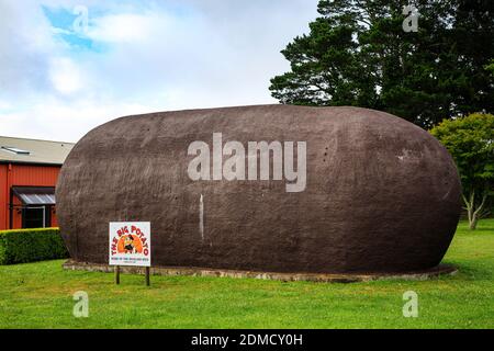 Built in 1977 by local potato grower, Jim Mauger, the Big Potato, located right in the heart of Robertson on the Illawarra Highway, Stock Photo